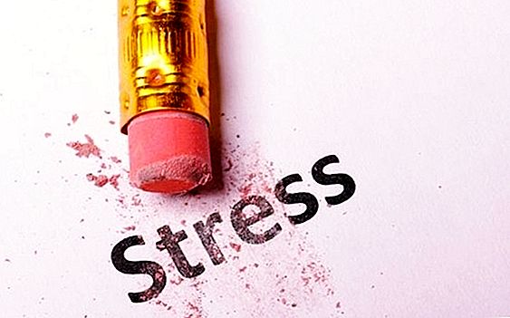 How to avoid stress