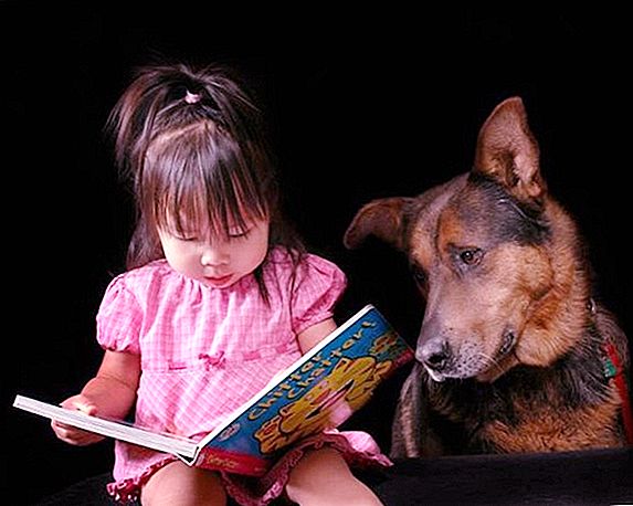 Kako pomoći svom djetetu da prevlada strah od pasa?