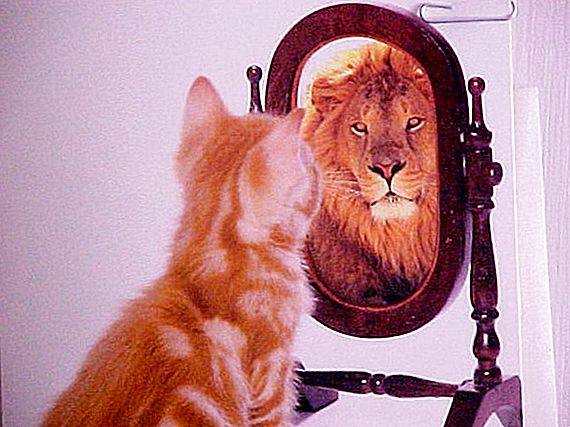 Cechy rozwoju pewności siebie