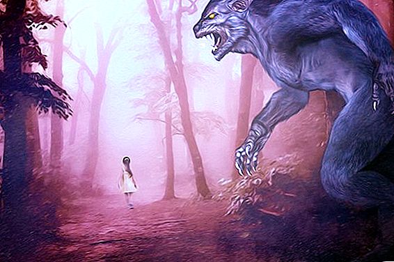 Wolfman: mitos atau penyakit. Beberapa fakta tentang lycanthropy