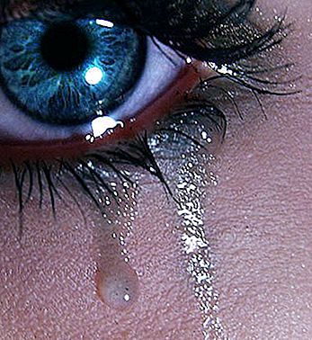 आँसुओं को कैसे पकड़ें