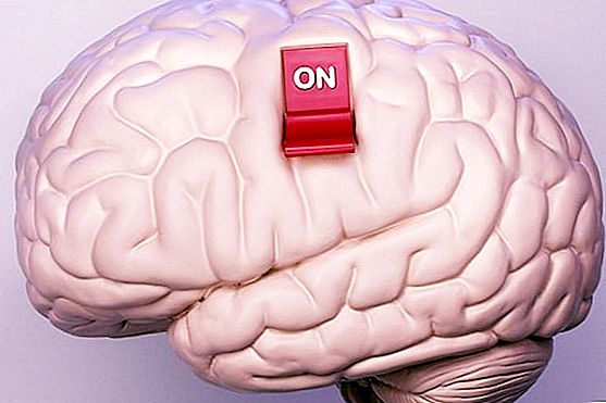 Kako mozak raditi 100%