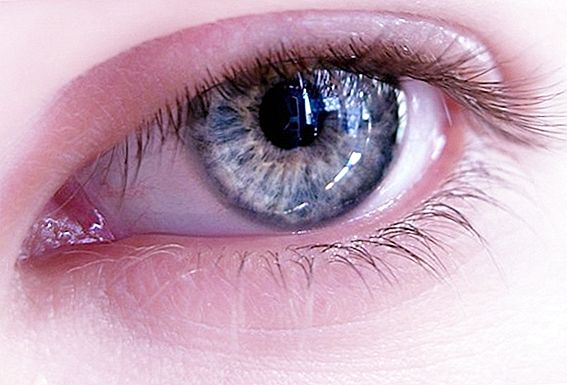 눈의 색으로 사람의 본성을 결정하는 방법