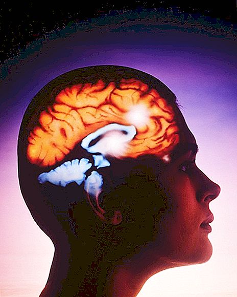 Kā regulēt jūsu smadzenes