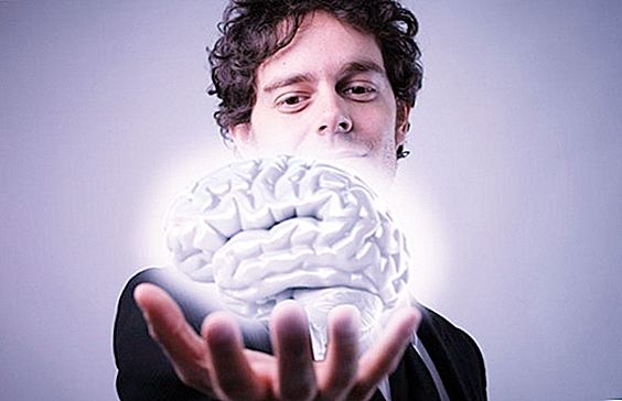 Què afecta el funcionament del nostre cervell?