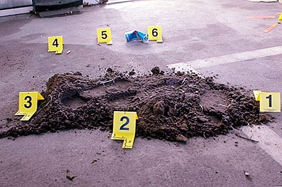 Psicologia de la inspecció d’escena del crim