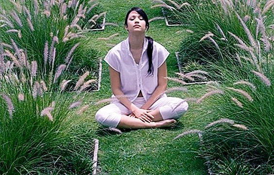 Kako obvladati tehniko meditacije