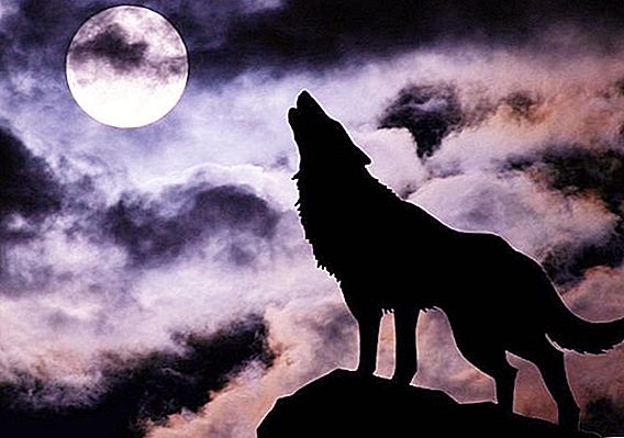 Why is the full moon dangerous?