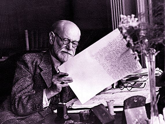 Ano ang kahulugan ng sugnay ng Freud?