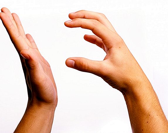 Kaip skaityti gestų kalbą