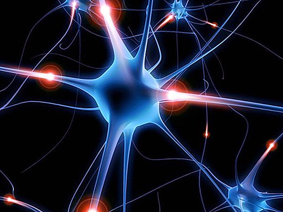 Što je neuroplastičnost?