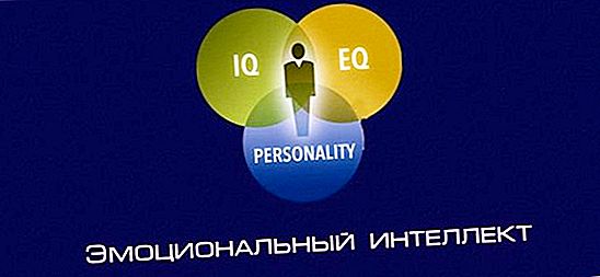 Vad är emotionell intelligens (EQ)?